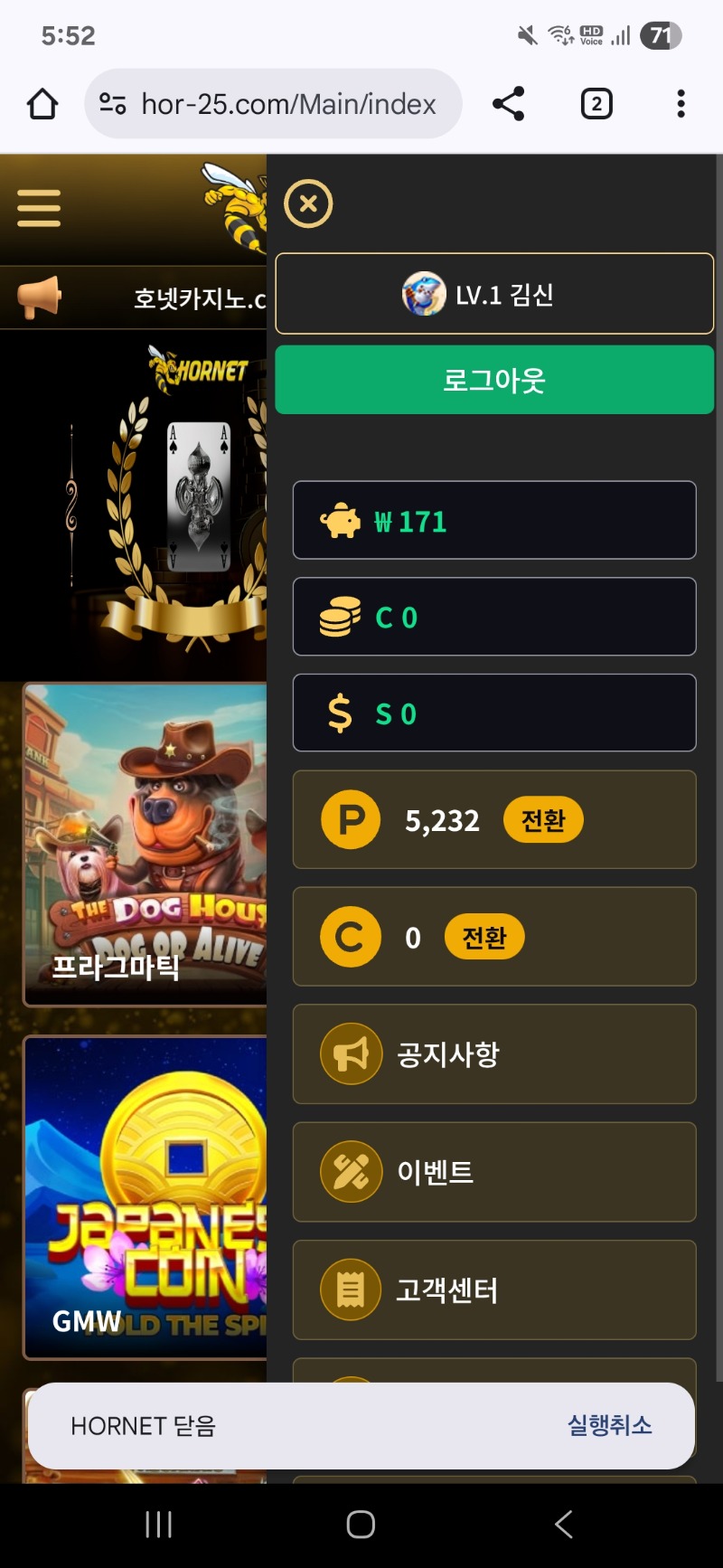 호넷후기