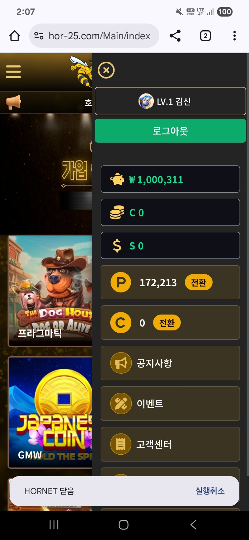 호넷후기