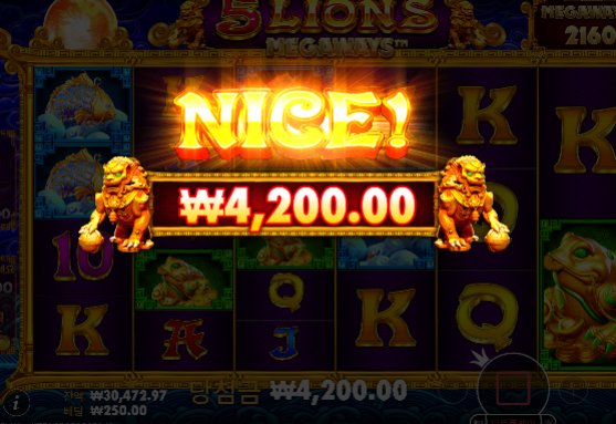 천천히 다시시작...