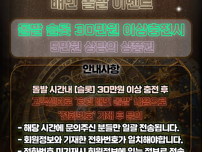 배민 호넷.jpg
