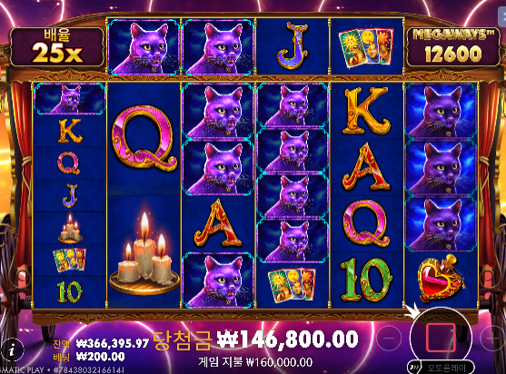 마담 데스티니 942배 나이스합니다!