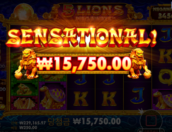 슬롯 ...1수익 ㅋㅋ