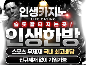인생카지노-300x225.jpg