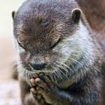 오늘은 좋은일만 생기길 기도합니다