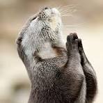 오늘은 좋은일만 생기길 기도합니다