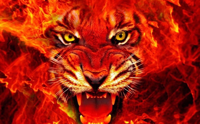 대 버 닝 스 ㅅㅅㅅㅅ