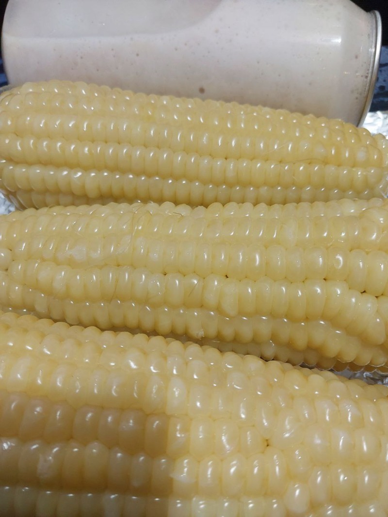 간만에 옥수수 가즈아