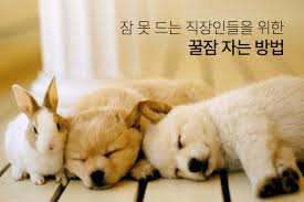 버닝끝 ! 푹쉬세요