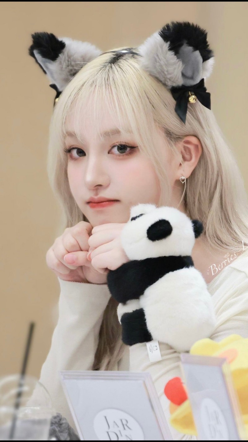 리즈