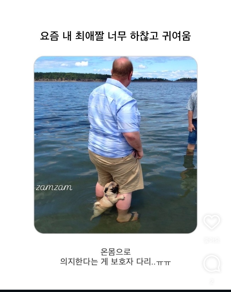 온몸으로