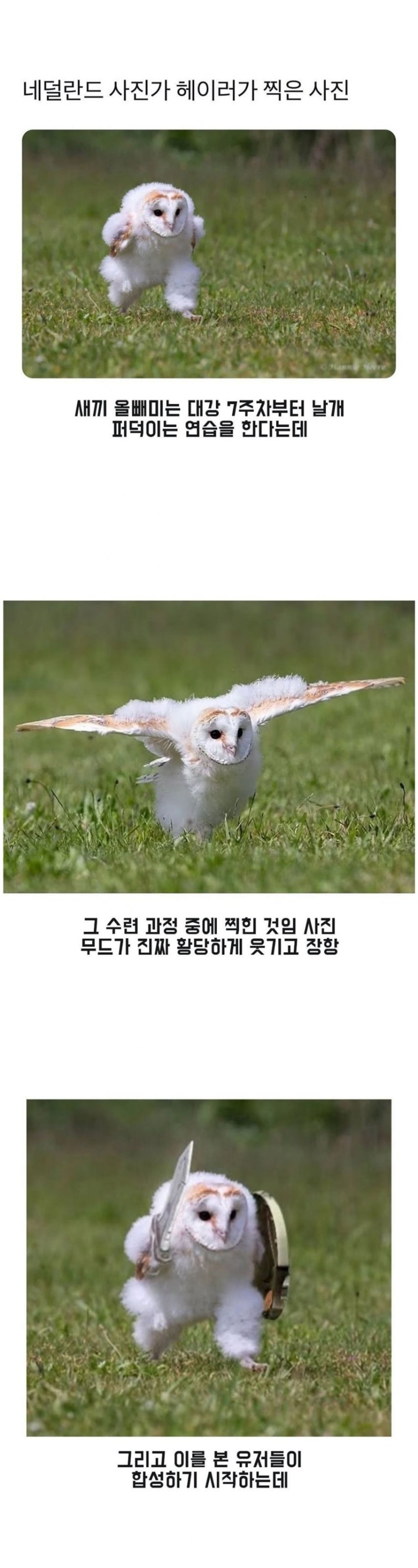 사진작가의 사진으로 장난치는 유저들