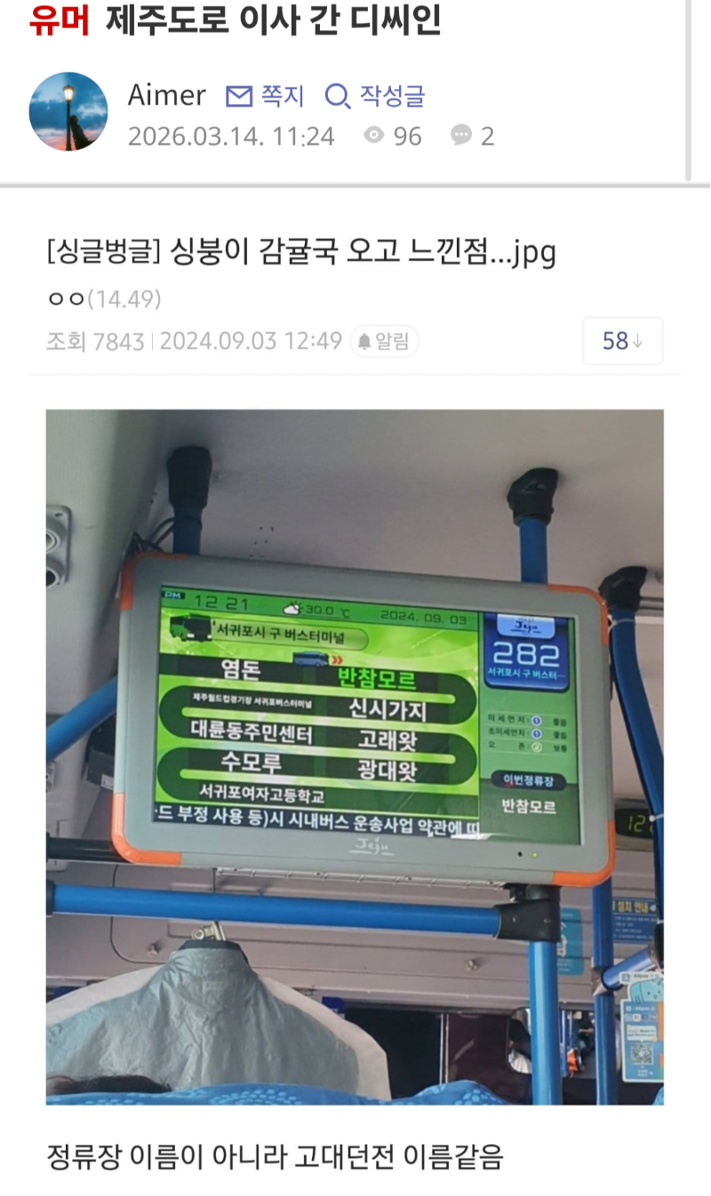 제주도로 이사 간 디씨인