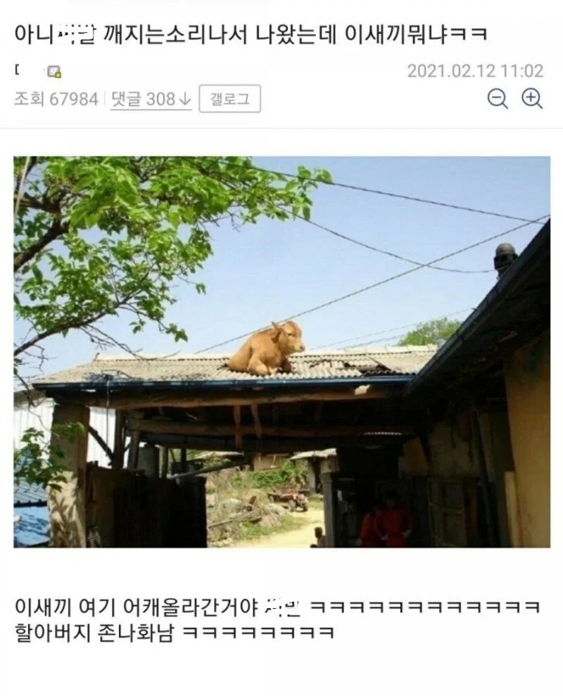 할아버지가 화난 이유