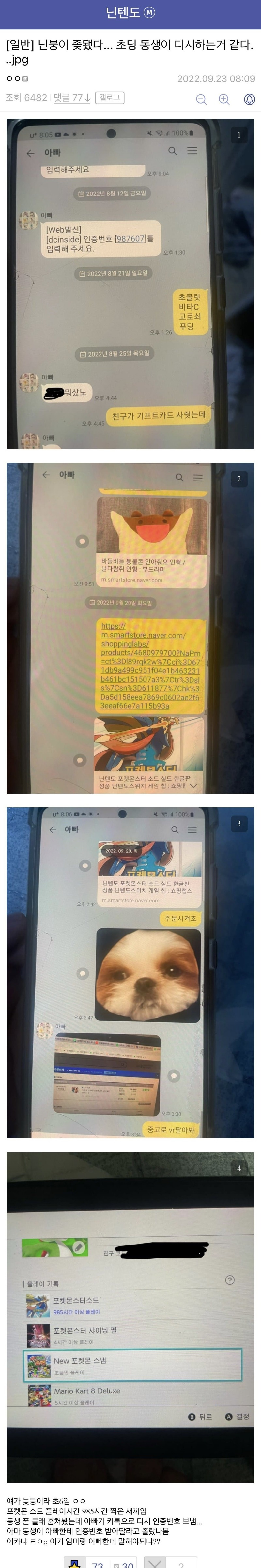 초딩 동생이 디시하는거 알게된 닌갤러