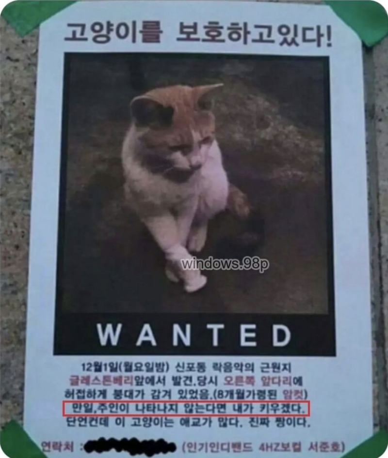고양이 묘질범의 전단