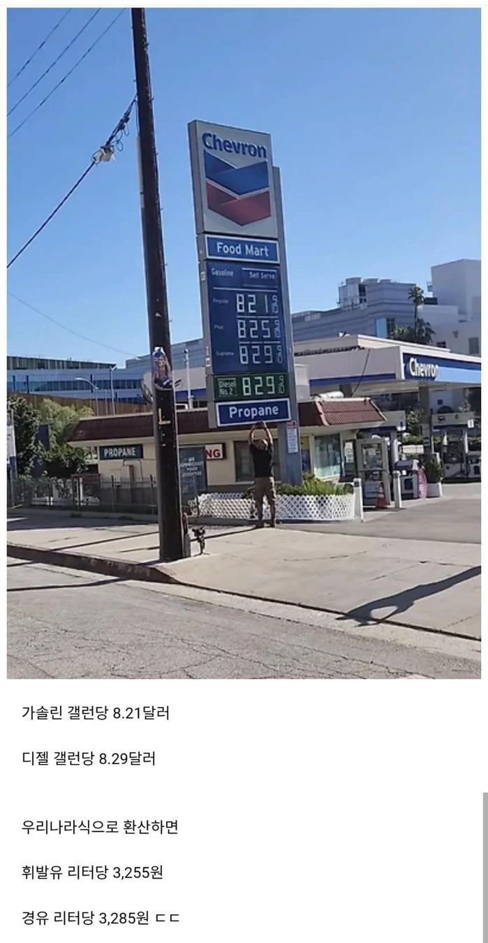 미국 캘리포니아 기름값 근황