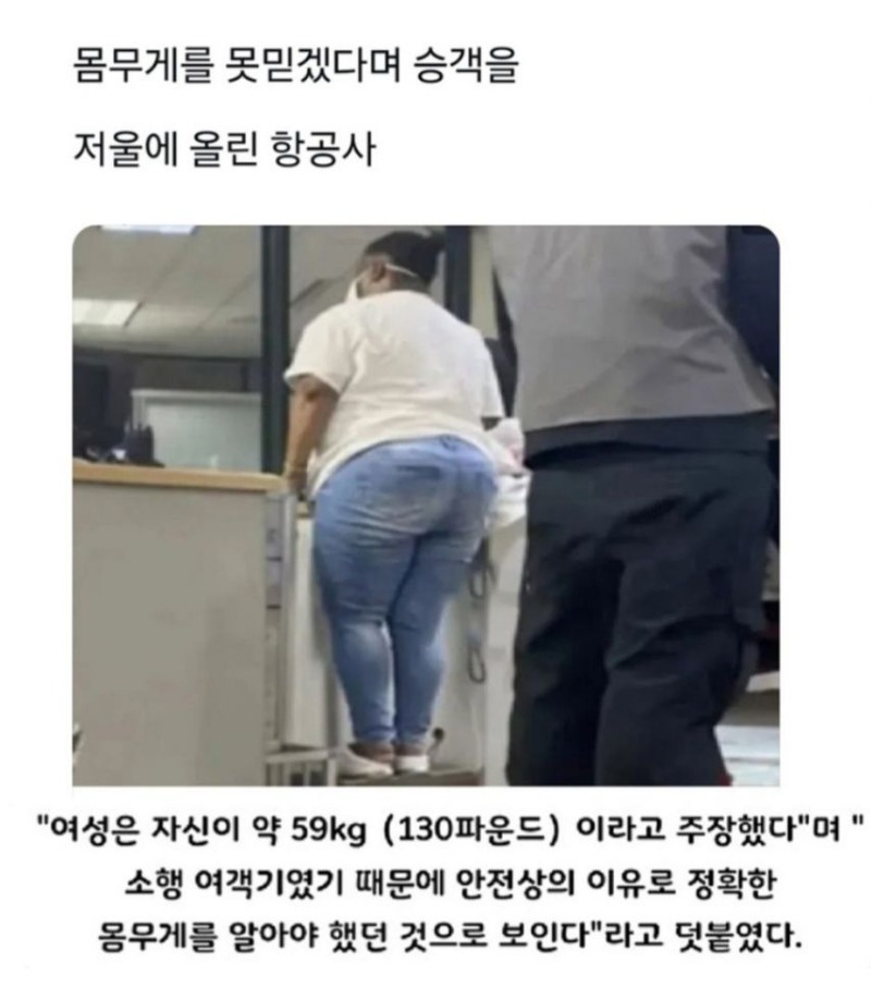 저울에 올린 항공사