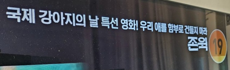 국제 강아지의날 특선영화