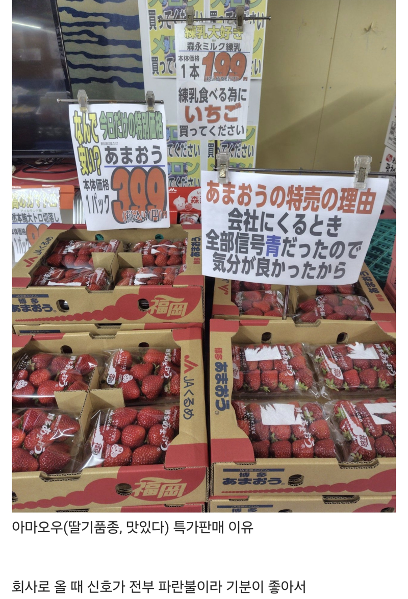 오늘 한정, 맛있는 딸기를 초특가로 판매하는 이유