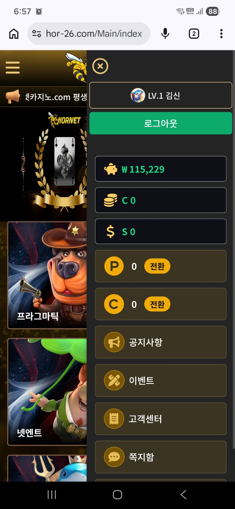 호넷포전후기 ~~