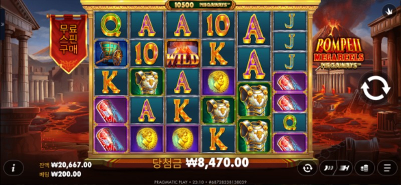 호넷주복후기 ~