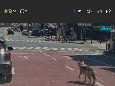 AISelect_20260408_153856_Samsung Internet.jpg