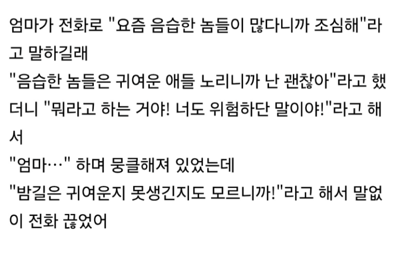 엄마: 이상한 놈들 많으니까 조심해