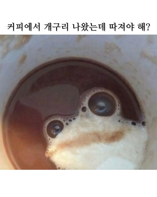  커피에 개구리