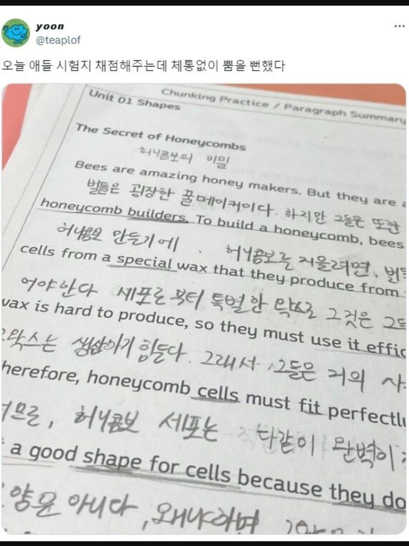 시험지채점하다가
