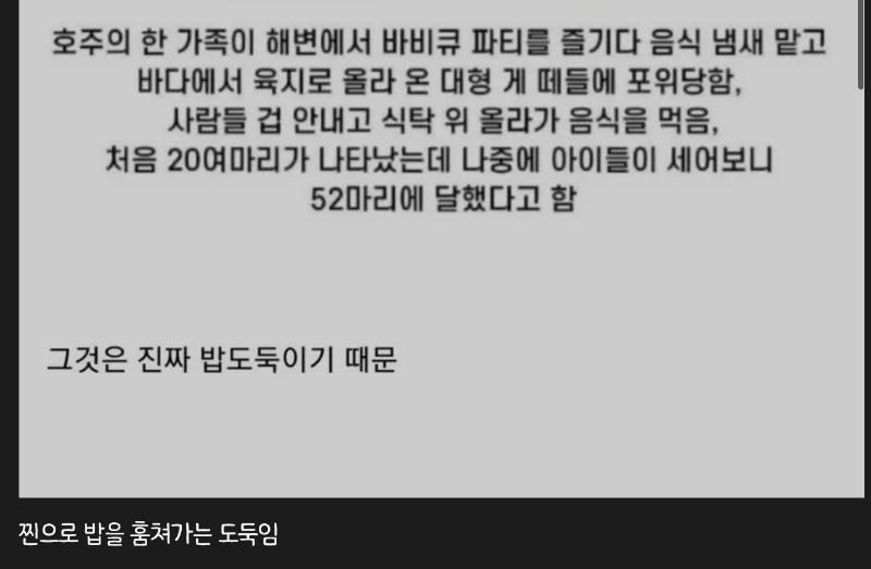  리얼 밥도둑