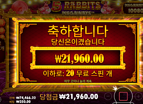진짜 안주네