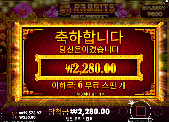 진짜 안주네