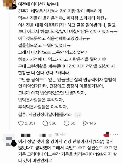 강아지에게 배달음식을 먹인 이유