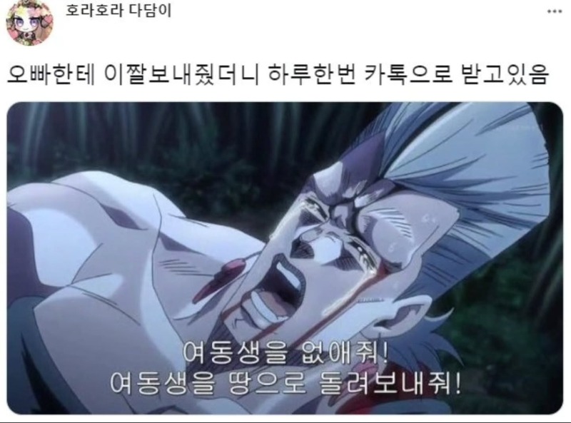 여동생을 가진 오빠의 마음