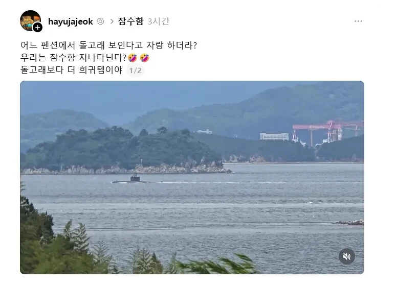 돌고래가 보인다는 펜션에 위기감을 느낀 사장님