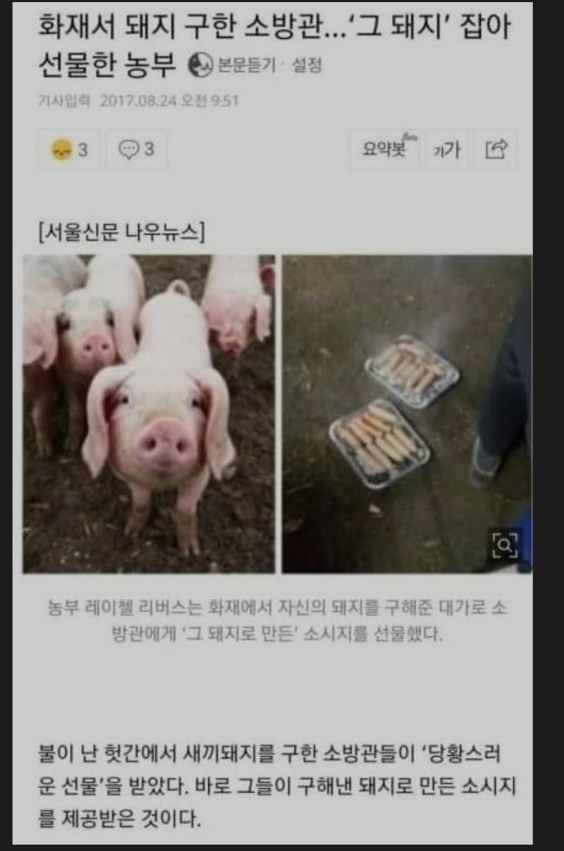  구해줬더니..