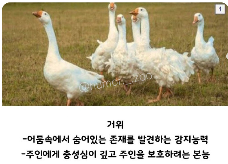 가성비좋은 경비시스템