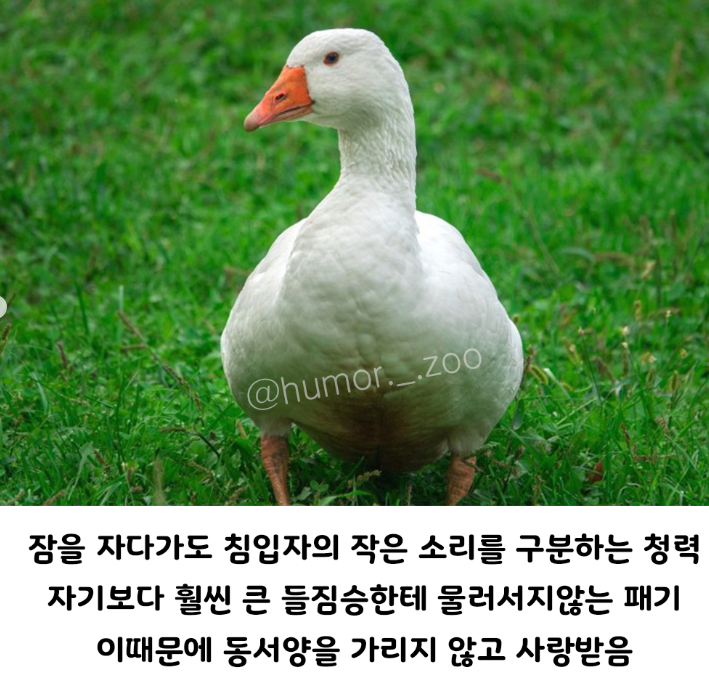 가성비좋은 경비시스템