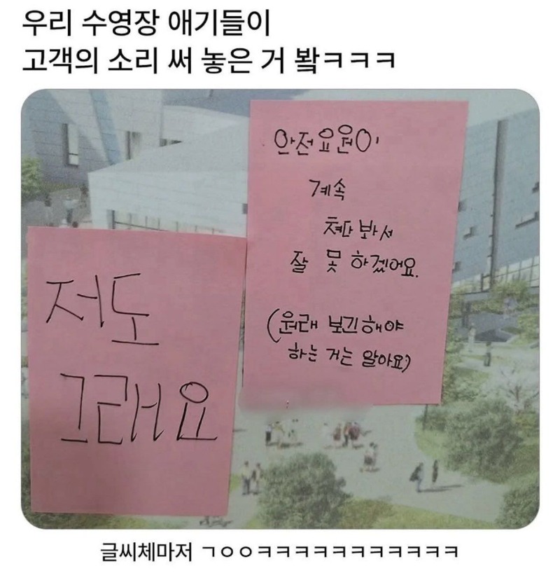 수영장 고객의소리