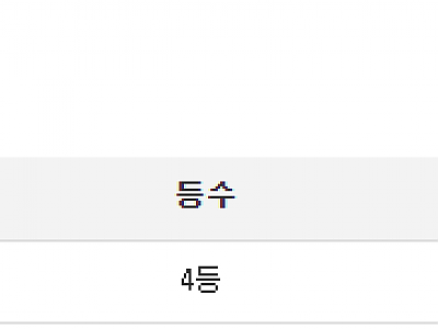 캡처.PNG