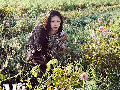06cbc2e9-3e51-4cab-82e1-f785502c15a6_wkorea__2026-06-22T0.jpg