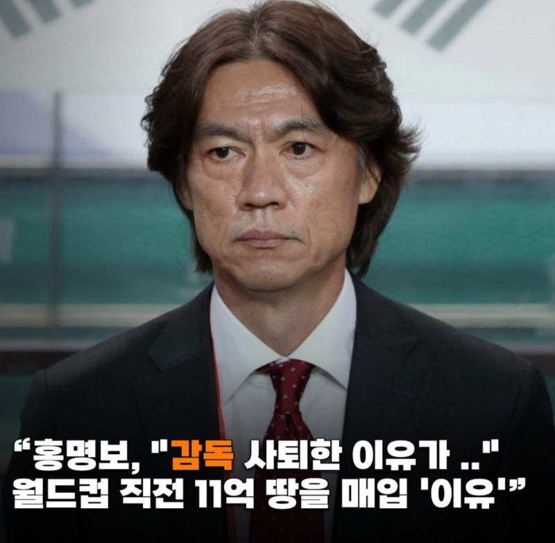 홍명보 감독 사퇴한 이유 홍명보 감독 사퇴한 이유