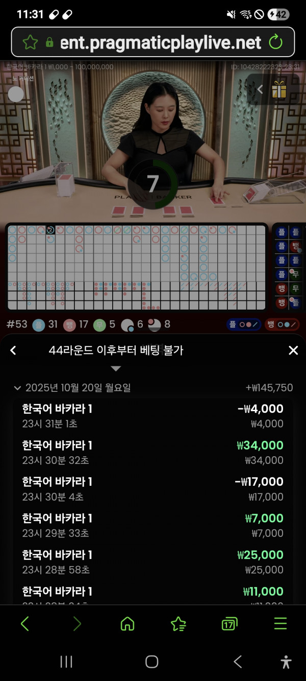 홈카지노