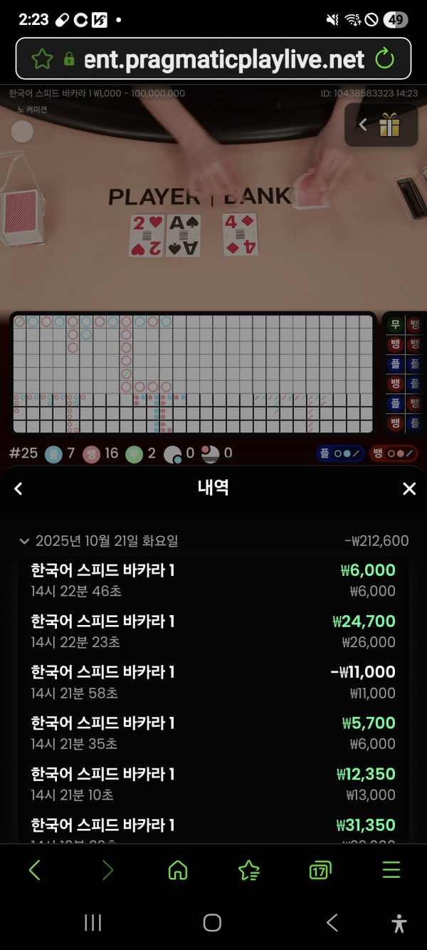 홈카지노