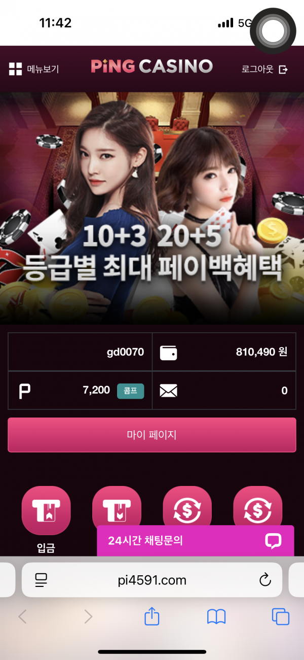 핑카후기