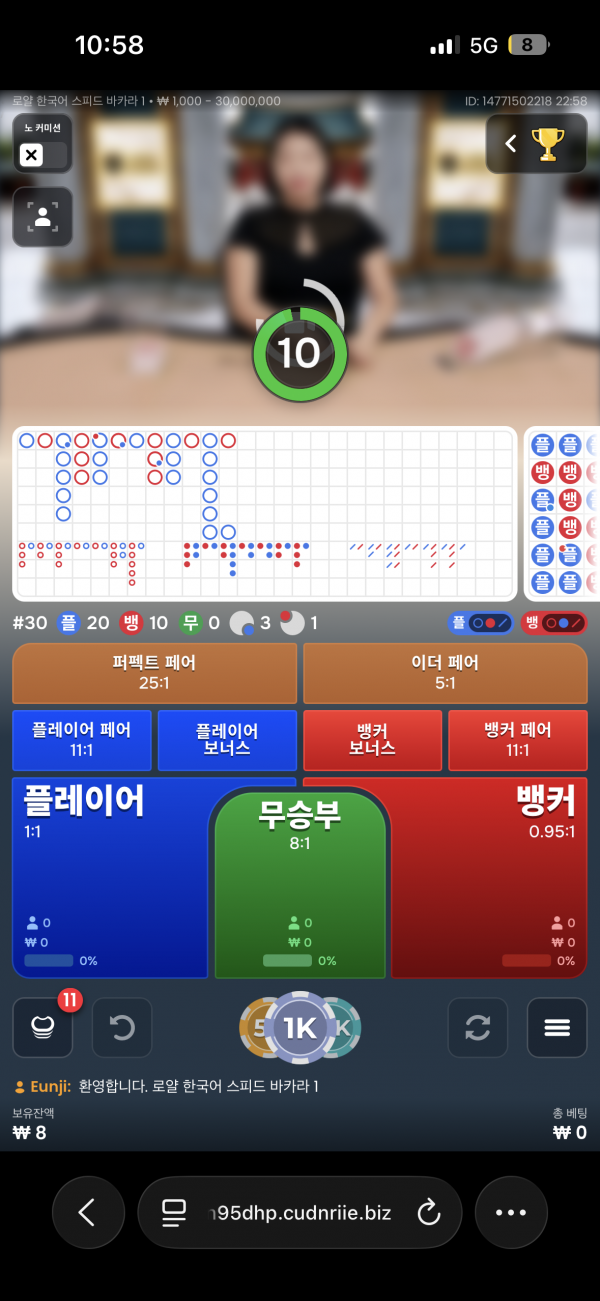 케이플 후기