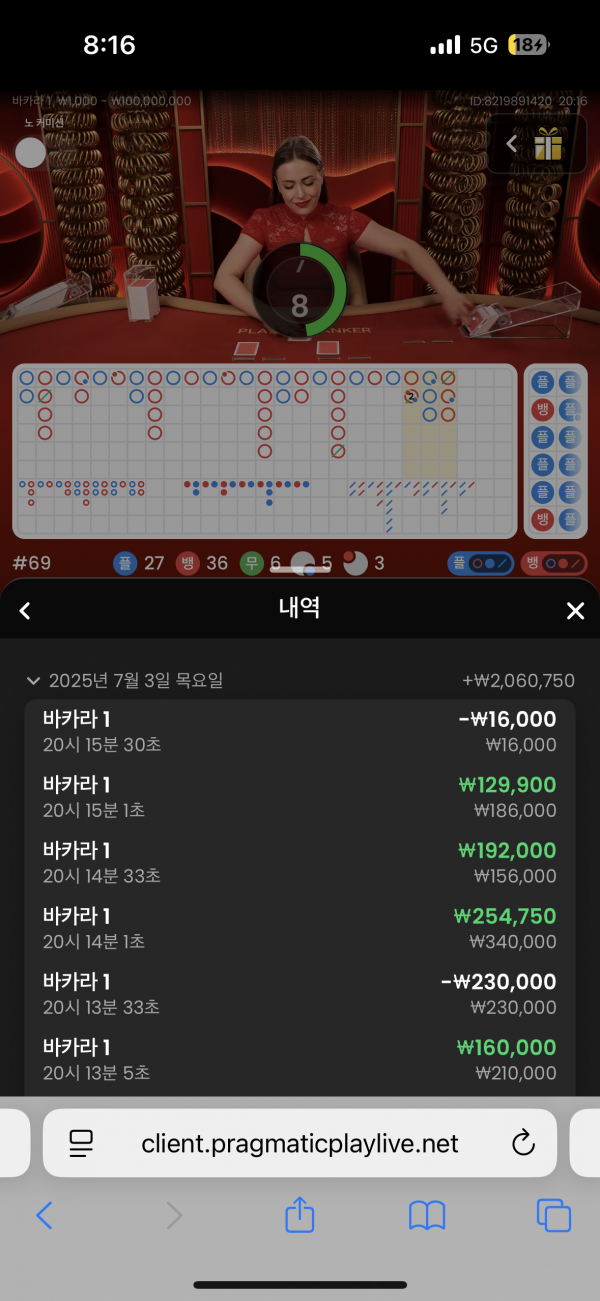 핑카후기