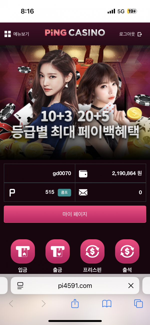 핑카후기