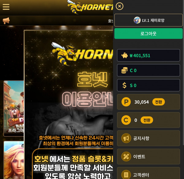 호넷