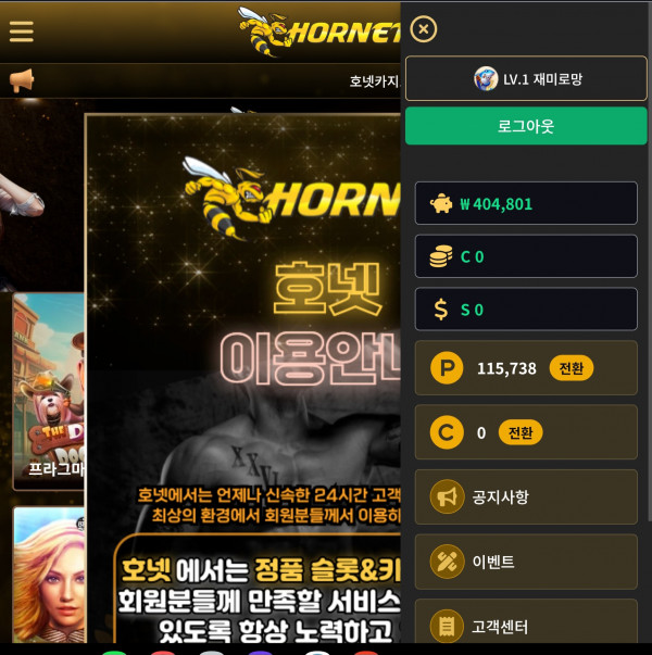 호넷